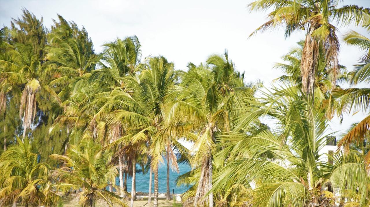 Paje Blu Boutique Hotel Ngoại thất bức ảnh